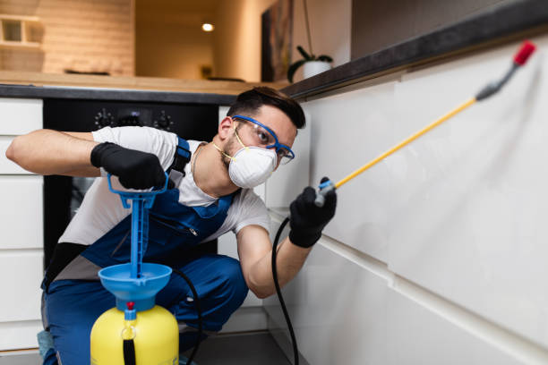Pest Control Cost in Big Bear City, CA