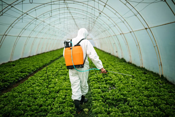 Pest Control for Restaurants in Big Bear City, CA