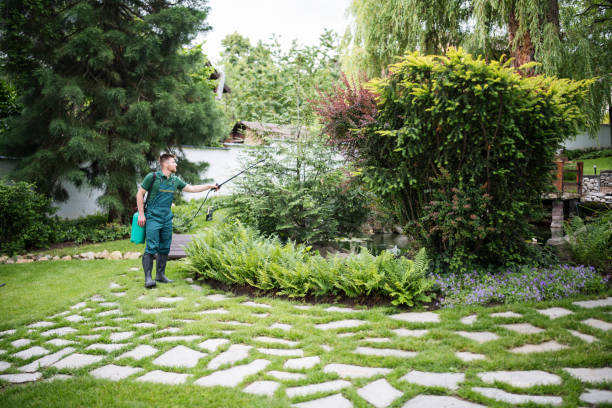 Reliable Big Bear City, CA Pest Control Solutions