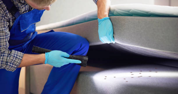 Best Bed Bug Extermination  in Big Bear City, CA