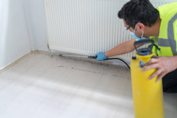 Best Residential Pest Control  in Big Bear City, CA